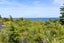 143A Donovan Street, Blockhouse Bay, Auckland - Carousel 14