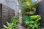 11 Island View Terrace, Waikanae Beach, Waikanae - Carousel 32