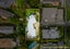 440A Riddell Road, Glendowie, Auckland - Carousel 19