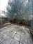 22 Alexandra Street, Richmond, Christchurch - Carousel 8