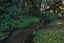 32 Icarus Place, Sunnybrook, Rotorua - Carousel 20