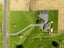 1381 Morrinsville-Tahuna Road, Morrinsville - Carousel 25