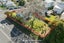 1/113 Mokoia Road, Birkenhead, Auckland - Carousel 20