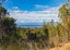 0 Kaiteriteri-Sandy Bay, Kaiteriteri, Motueka - Carousel 8