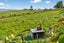 45 Brown Road, Hakaru - Carousel 22