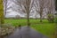 75 Collingwood Street, Hokowhitu, Palmerston North - Carousel 19