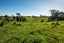 0 Ruatiti Road, Ruatiti, Raetihi - Carousel 9