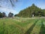 329 Wallacetown Lorneville Highway, Makarewa, Invercargill - Carousel 37