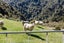 1344 Otara Road, Opotiki, Opotiki, Bay Of Plenty - Carousel 17