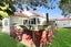 3 Harrod Avenue, Foxton Beach, Foxton - Carousel 34
