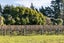 0 Nursery Road, Queensberry - Carousel 6