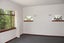 211 Knowles Street, St Albans, Christchurch - Carousel 8