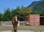 554 Apirana Road, Horohoro, Rotorua - Carousel 15