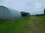 100 Lewis Street, Glenview, Hamilton - Carousel 2