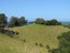 0 Rockell Road, Whananaki, Hikurangi - Carousel 2