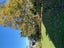 57 Castledine Crescent, Glen Innes, Auckland - Carousel 1
