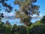 498 Wyuna Bay Road, Wyuna Bay, Coromandel - Carousel 1