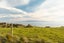 379B Orepuki Riverton Highway, Longwood, Riverton/Aparima - Carousel 2