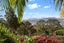 334 Titirangi Road, Titirangi, Auckland - Carousel 2