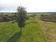 1635 Kaniere-Kowhitirangi Road, Kokatahi, Westland, West Coast - Carousel 14