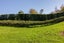 394 Old Highway, Whakamarama, Whakamārama - Carousel 4