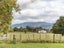 72B Woodside Road, Woodside, Greytown - Carousel 22