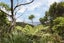 16 La Trobe Track, Karekare, New Lynn - Carousel 46