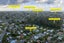 5 Kearney Place, Massey, Waitakere City, Auckland - Carousel 36