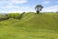1901 Tutukau Road, Ohakuri, Reporoa - Carousel 22