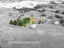 17 Settlement Road, Kawakawa, Kawakawa - Carousel 1