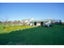 80A Wallacetown Lorneville Highway, Lorneville, Invercargill - Carousel 22