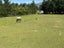415 Woodbank Road, HANMER SPRINGS, Hanmer Springs - Carousel 23