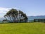39 Aperahama Street, Paekakariki, Paekakariki - Carousel 6
