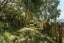 11 The Anchorage, Whitby, Porirua - Carousel 34