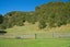 326C Matokitoki Valley Road, Matokitoki, Gisborne - Carousel 23