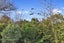 13 Pascal Place, Flagstaff, Hamilton - Carousel 18