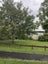 142 Old Farm Road, Hamilton East, Hamilton - Carousel 8