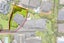 1/239 St Johns Road, Meadowbank, Auckland - Carousel 4