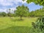 305 Newtons Road, Christchurch - Carousel 30