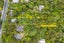 186 Atkinson Road, Titirangi, Auckland - Carousel 24