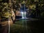 9 City View Terrace, Birkenhead, Auckland - Carousel 27
