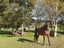 326 Wakefield-Kohatu Highway, Wai-Iti - Carousel 21