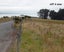 136 Akatore Road, Taieri Beach, Taieri Mouth - Carousel 4