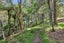 0 Whananaki Road, Whananaki, Hikurangi - Carousel 8
