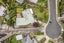 10 Mackwood Place, Birkdale, Auckland - Carousel 33