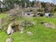 821 French Pass Road, Karapiro, Cambridge - Carousel 3