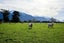 238 Red Swamp Road, Kaikoura Flat, Kaikōura - Carousel 15