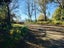 49 Ribbonwood Road, Geraldine Downs, Geraldine - Carousel 21