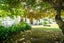 34 Simla Crescent, Khandallah, Wellington - Carousel 28