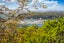 3/26 Brighton Road, Parnell, Auckland - Carousel 19